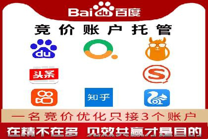 sem竞价托管代运营，助力企业腾飞的成功故事